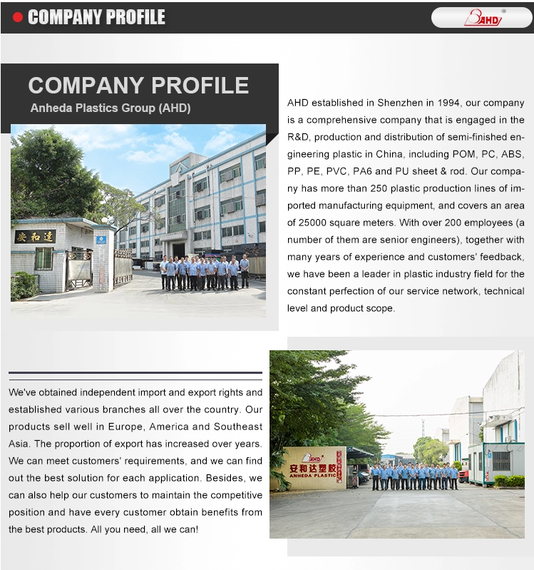 Company Information