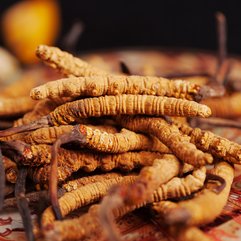 5 pieces of pure natural Cordyceps sinensis from Tibet, China, free shipping