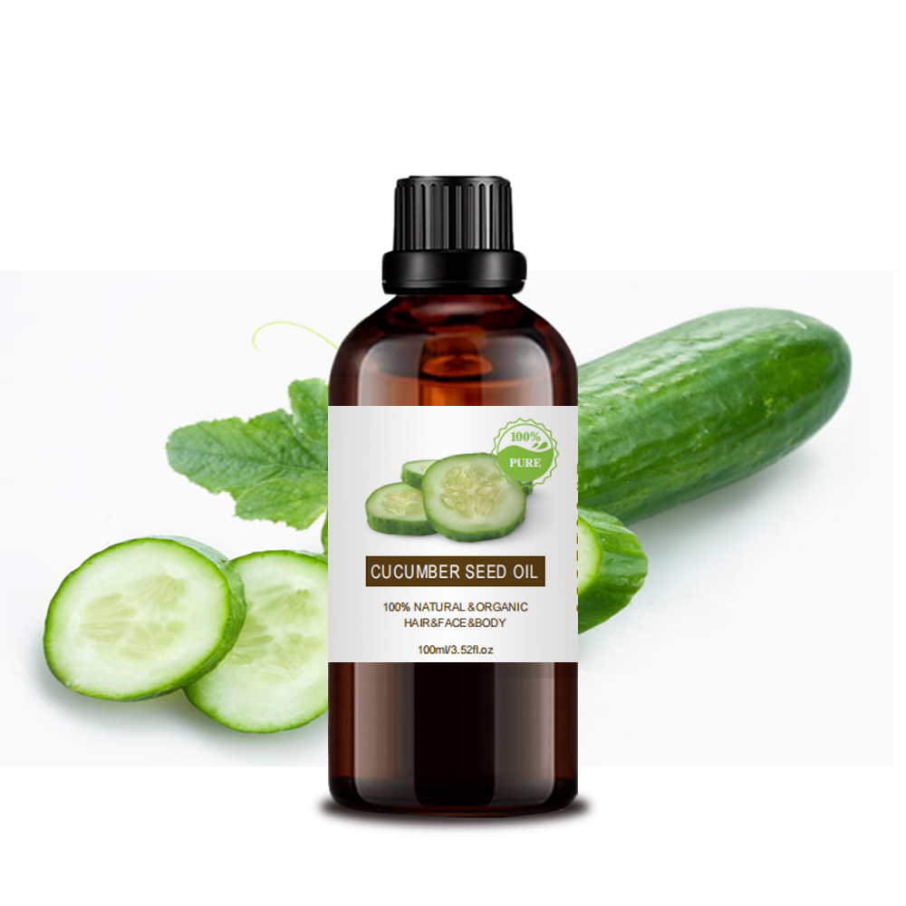 Wholesale bulk price pure organic cold pressed cucumber seeds extract 100% pure natural organic cucumber seed oil