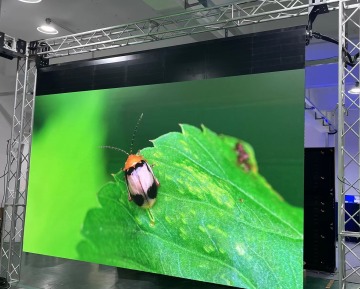 Pantalla de pared LED y soluciones de alquiler