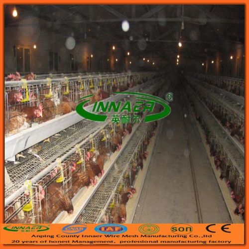 Chicken Layer Cages for Sale