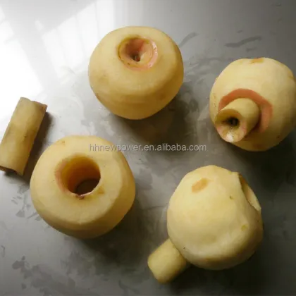 Automatic Small Desktop Citrus Peeler Machine - Lemon Apple Orange Peeler