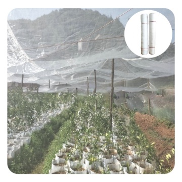 ตาข่ายแมลง HDPE: หน้าจอตาข่าย 25-60 สำหรับการป้องกันโรงเรือนจากแมลงยุงและลูกเห็บ