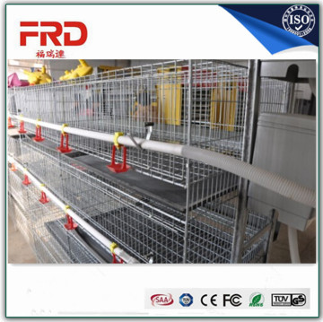 Trade assurance 100% payment guarantee factory supply chicken cage for sale in philippines
