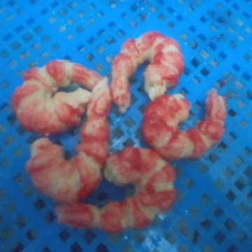 Frozen Surimi Shrimp