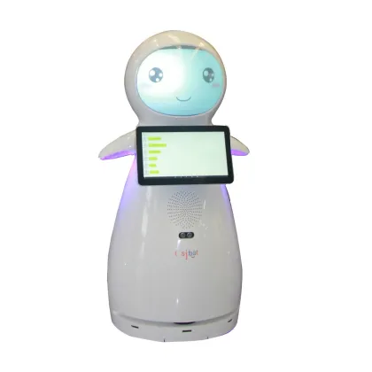 CSJBOT Remote Control Metal Entertainment Robot for Kids