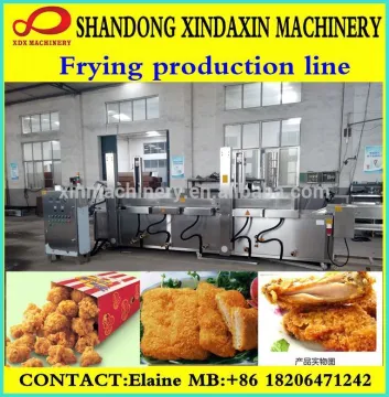 XXD automatic heat and control fryer for industrial use