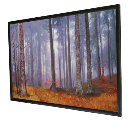 carbon crystal room heating painter