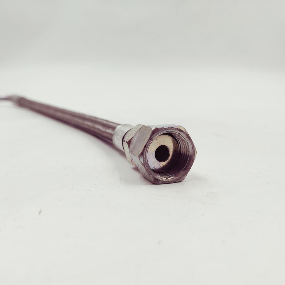 Flexible Hose 3096212