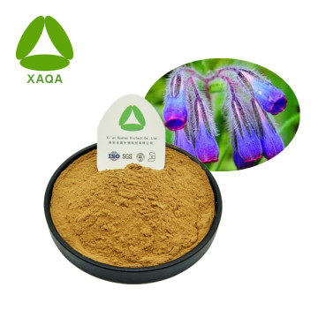 SHIKONE EXTRACT ARNEBIA ROOT EXTRACT POWDER 10: 1