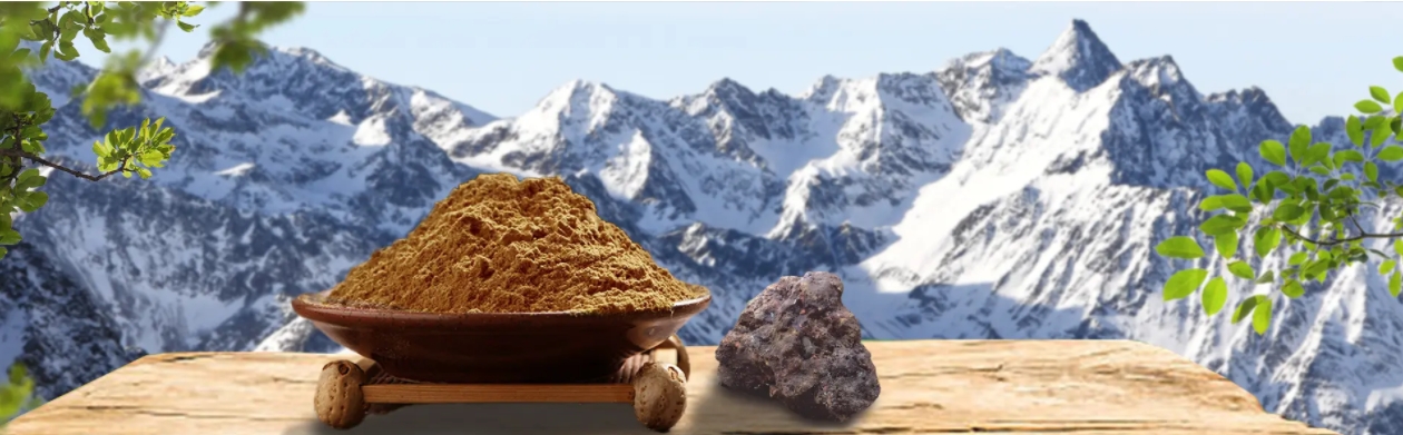 Shilajit Extract