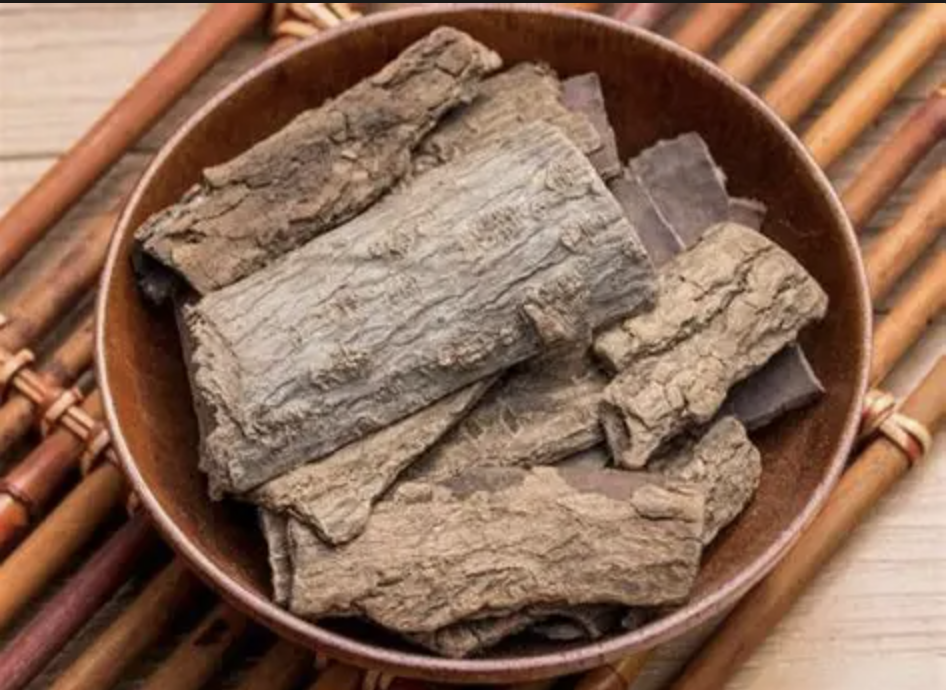 Eucommia Extract Supplier