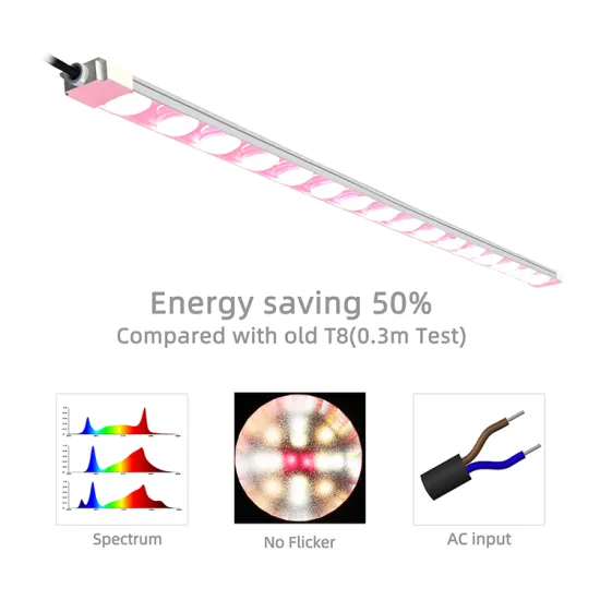 Energy Saving Full Spectrum LED Grow Lights for Succulents and Venus Flytraps
