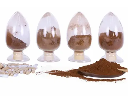 organic reishi mushroom powder