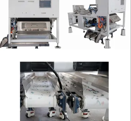 Food Processing Color Sorter