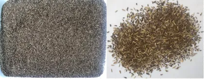 Rice Color Sorter Machine or Separator Cleaning for Millet Sorter by Colors meyer