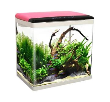 Acquario del serbatoio di pesce in magazzino con il miglior prezzo