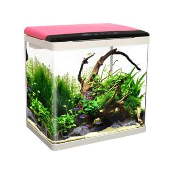 Fish tank aquarium in stock with best price