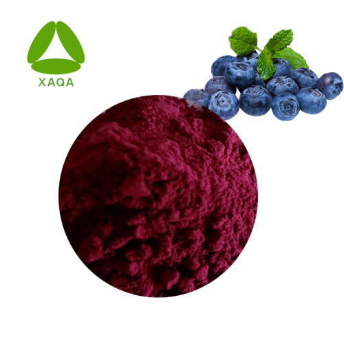 Blueberry Extract Powder Polyphenols 50% Beverage Additives