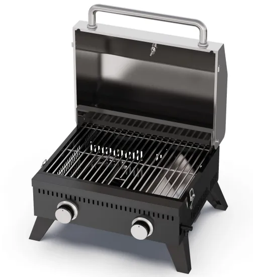 2 Burner Propane Gas Grill Outdoor Portable Tabletop BBQ with Foldable Legs