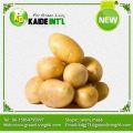 2016 80-150g kentang harga pabrik