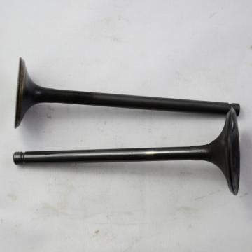 LC170MM Loncin 250cc Water Cooled Engine Parts: Gas Inlet Exhaust Valve