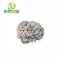 Maitake mushroom extract powder Polysaccharides