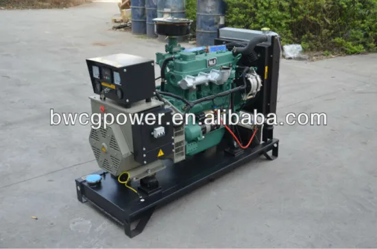 Chinese Engine 30kW Diesel Generator 220 kva