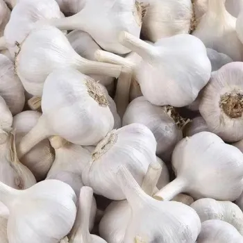 Organic Garlic Cloves for Culinary and Medicinal Purposes