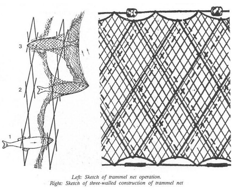 Nylon Trammel Nets, High Quality Nylon Trammel Nets on