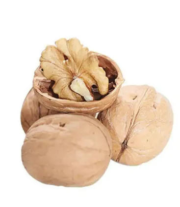 Wholesale Large Low Price Raw Walnuts and Organic Walnut Kernels from Xinjiang