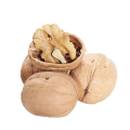 Wholesale Large Low Price Raw Walnuts and Organic Walnut Kernels from Xinjiang