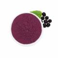 High-quality Aronia Powder Aronia extract