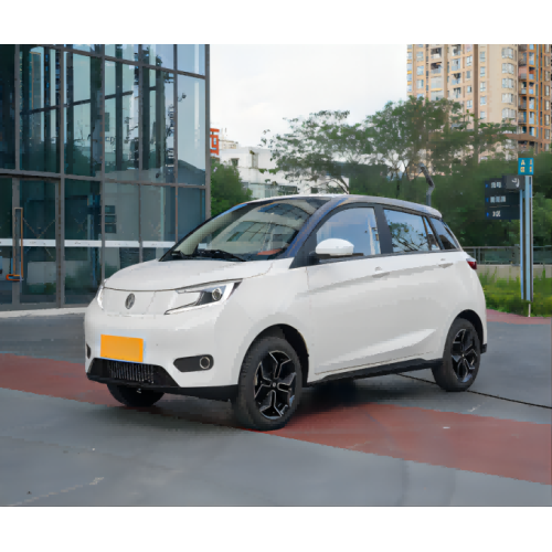 EV Small Electric Car 2023 Milometraxe de recarga 408 km á venda