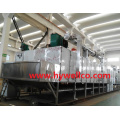 Apple Chips Stainless Steel Conveyor Dryer