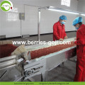 Factory Supply Gezonde voeding Goji Berry