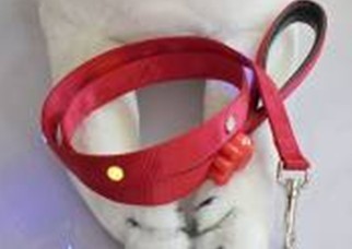 LED Flashing Pet Lead/Leash/Pet Strap (1104)