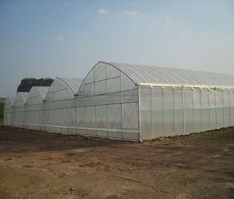 Large Plactic Greenhouse For Vegetable Flowers