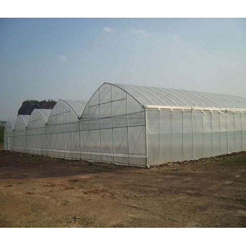 Multi-span agricultural hydroponics equipment greenhouses