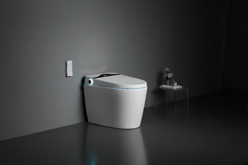 8303a 1smart Toilet