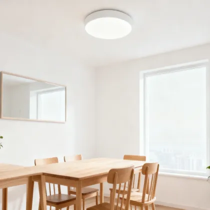 LED ceiling light for smooth lighting