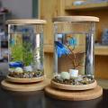 Base de bambú de acuario de vidrio pequeño mini peces