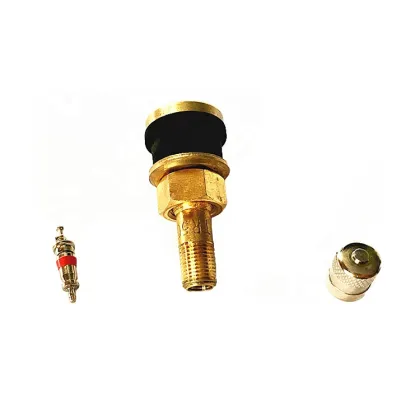 Truck and Bus Tubeless Valve Stems Metal Valve Adapters