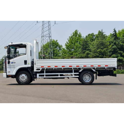 Грузовик Isuzu 5ton грузовой грузовик Van Mini Mini Truck