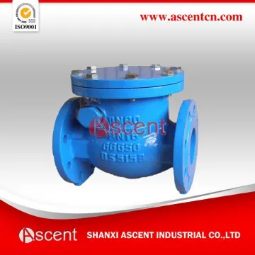 Ductile Iron Ccheck Valves