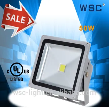 IP66 LED Flood Light Bridgelux LED Chip UL Well Zhongpu 50W LED Flood Light Driver