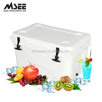 Sea Fishing Dry Ice Box Container