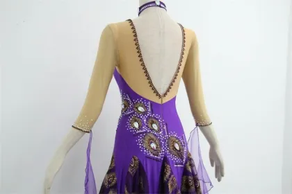 Purple Ballroom Dress Plus Size