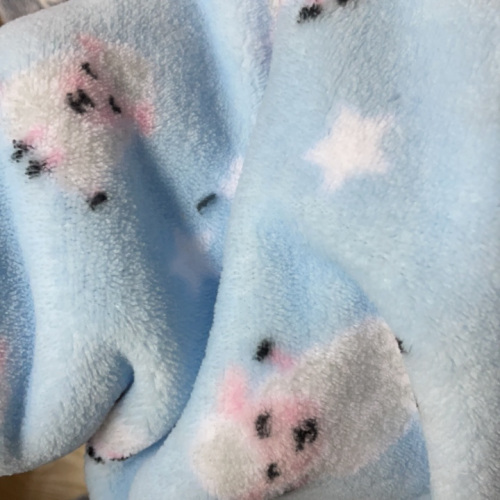 Double Side Coral Fleece with Animal Printing Fabric