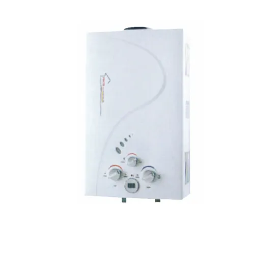 Foshan Factory LG Design Gas Water Heater